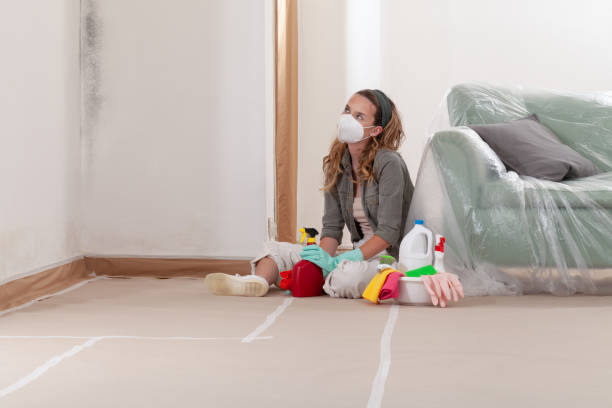 Reliable Mold Inspection contractor in Hyattsville, MD by WQB Mold Removal